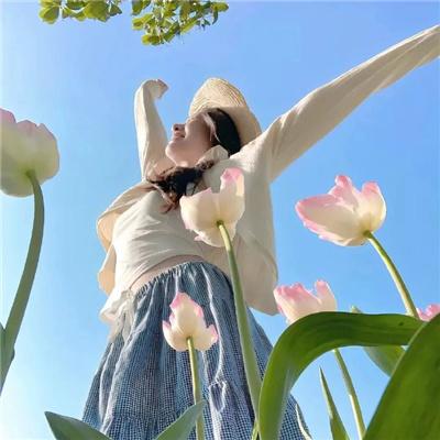 神龙诀之千年灵狐